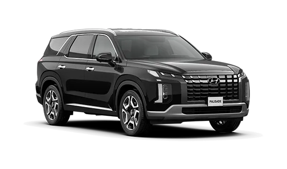 Цвета Palisade New